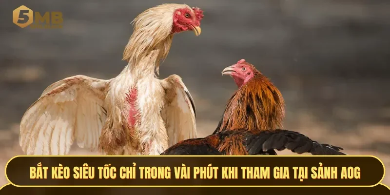 Bắt kèo siêu tốc chỉ trong vài phút khi tham gia tại sảnh AOG