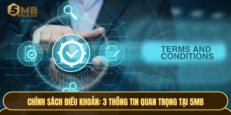 3 thông tin quan trọng trong chính sách điều khoản của 5MB