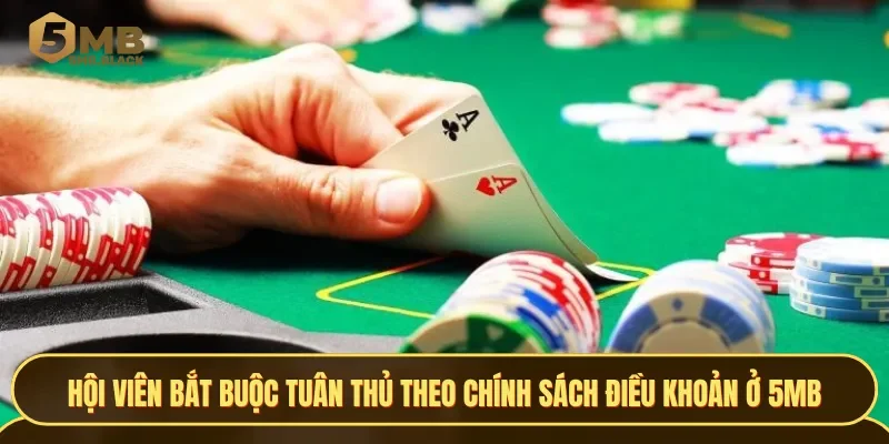 Hội viên bắt buộc phải tuân thủ theo chính sách điều khoản khi giải trí ở 5MB