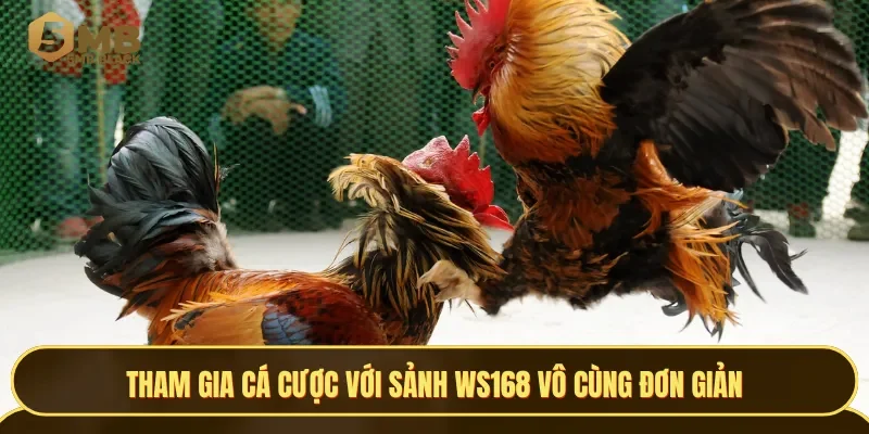 Tham gia cá cược với sảnh WS168 vô cùng đơn giản